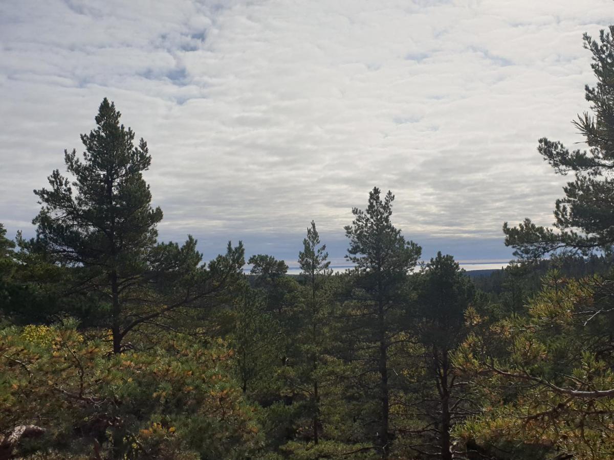 The Sleepy Moose Hostel Rofors Bagian luar foto